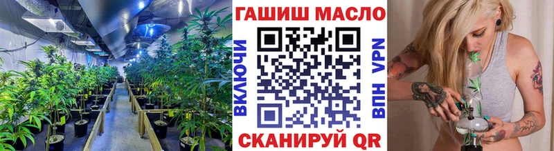 MEGA зеркало  Волхов  ТГК THC oil 